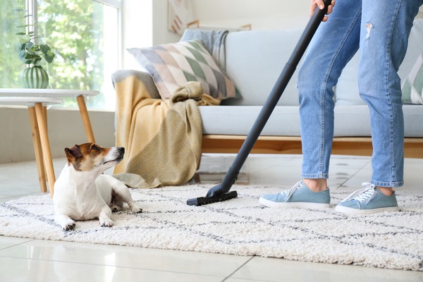 Can Having Pets Affect Your Homeowners Insurance?